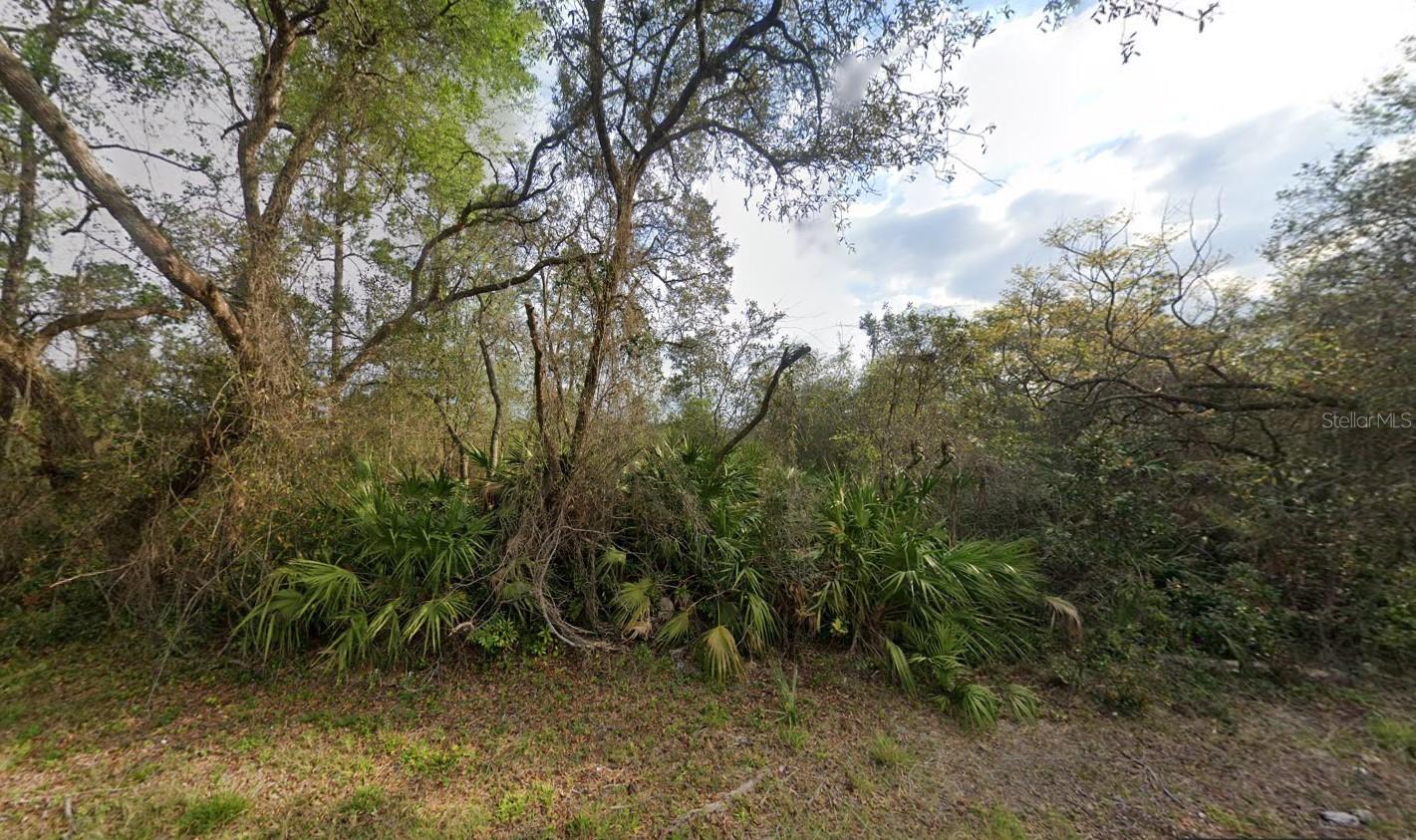 Details for 00 Lakeside Drive, DELAND, FL 32720