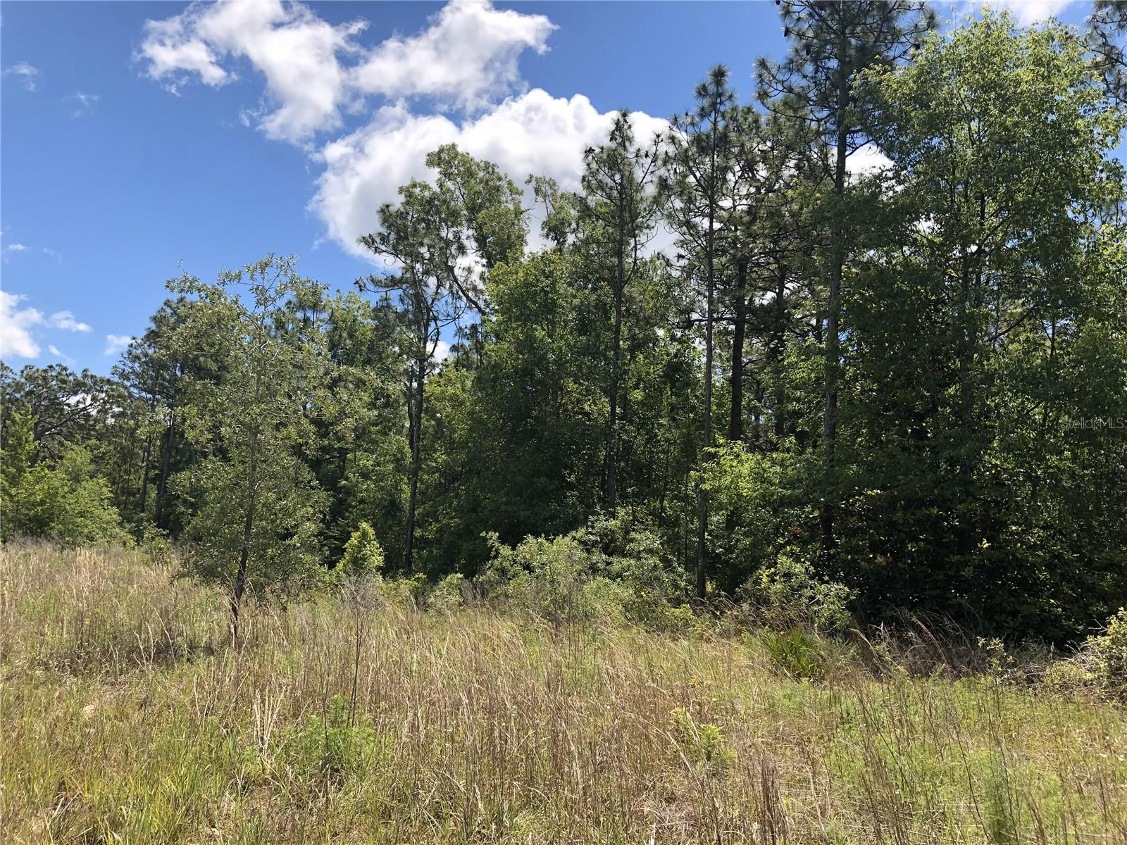 Listing photo id 0 for 15107 Canvasback Road