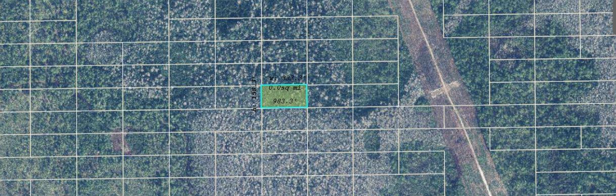 Image 3 of 4 For  Dill Road 