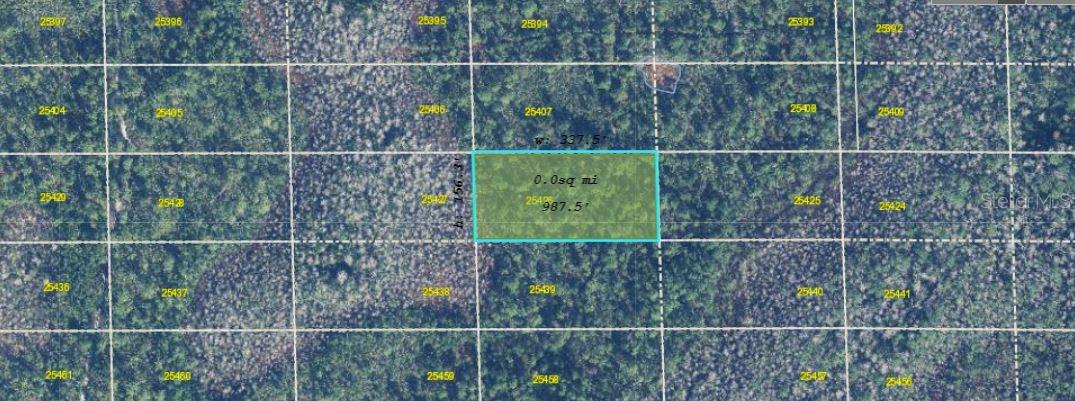 Image 3 of 4 For  Dill Road 