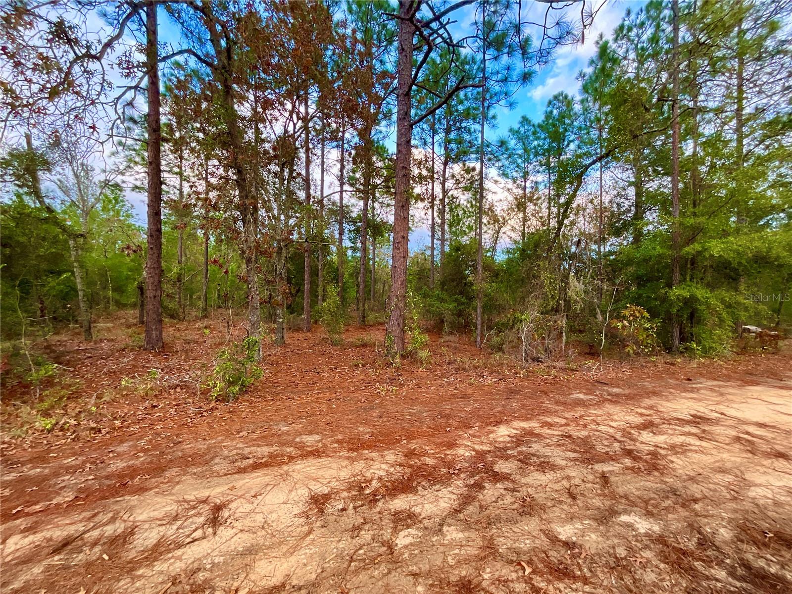 Image 4 of 11 For 106 Gladiola Drive