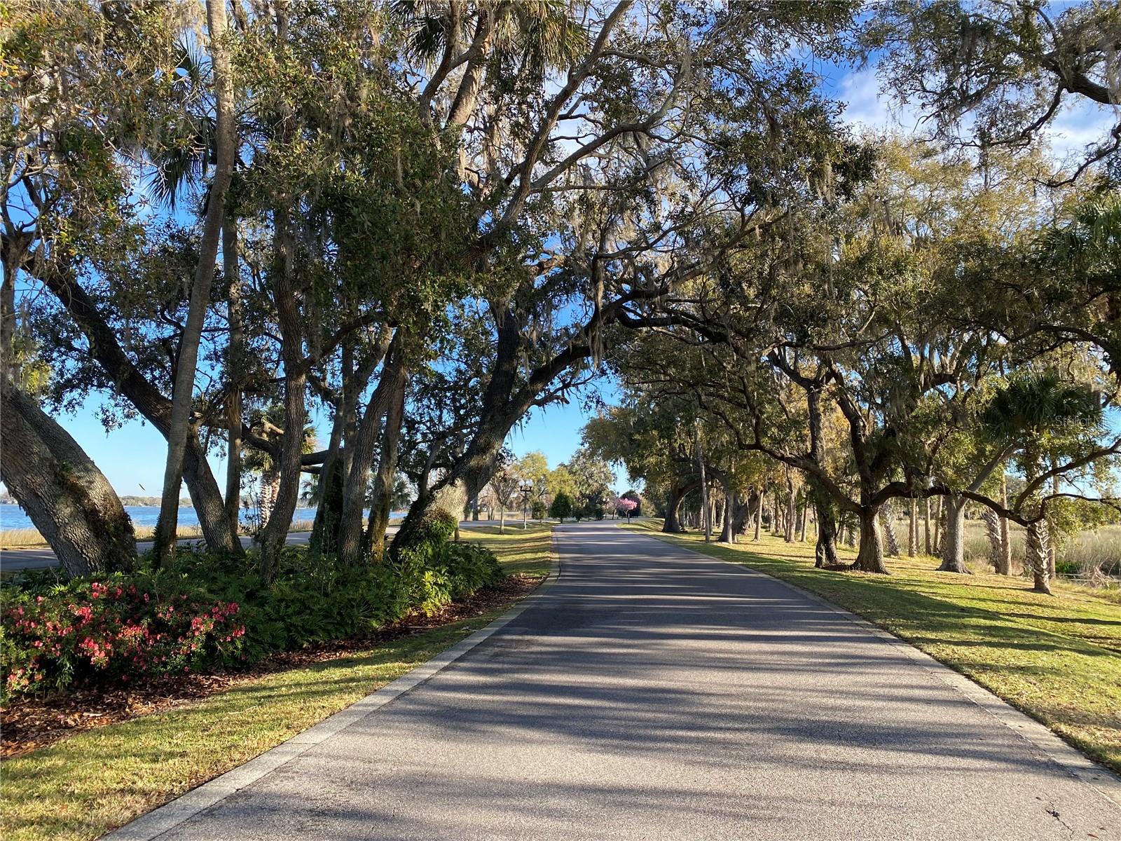Image 24 of 27 For 17740 Sawgrass Run