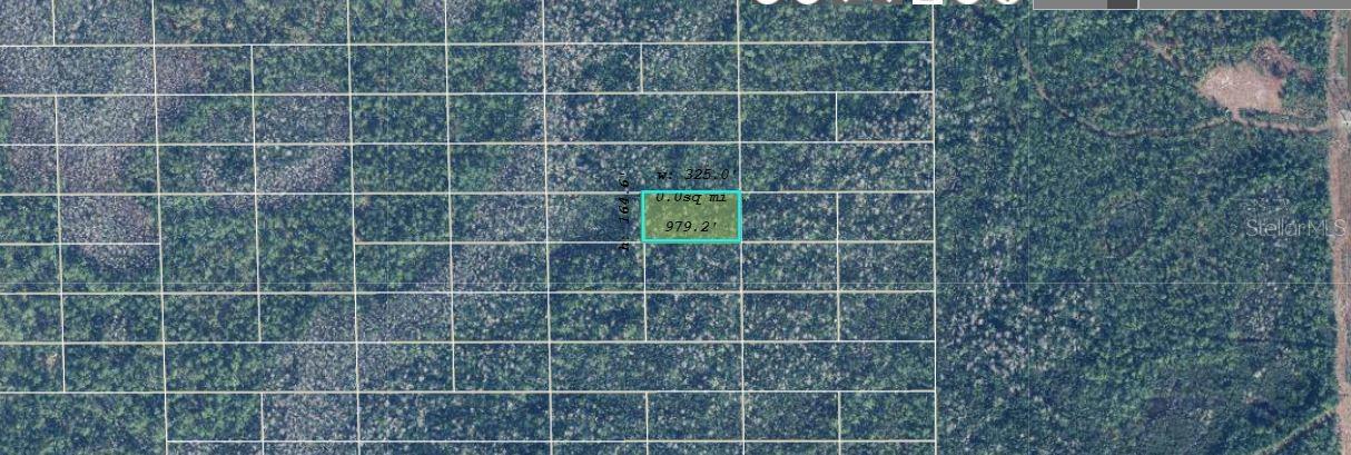 Image 2 of 4 For  Dill Road 