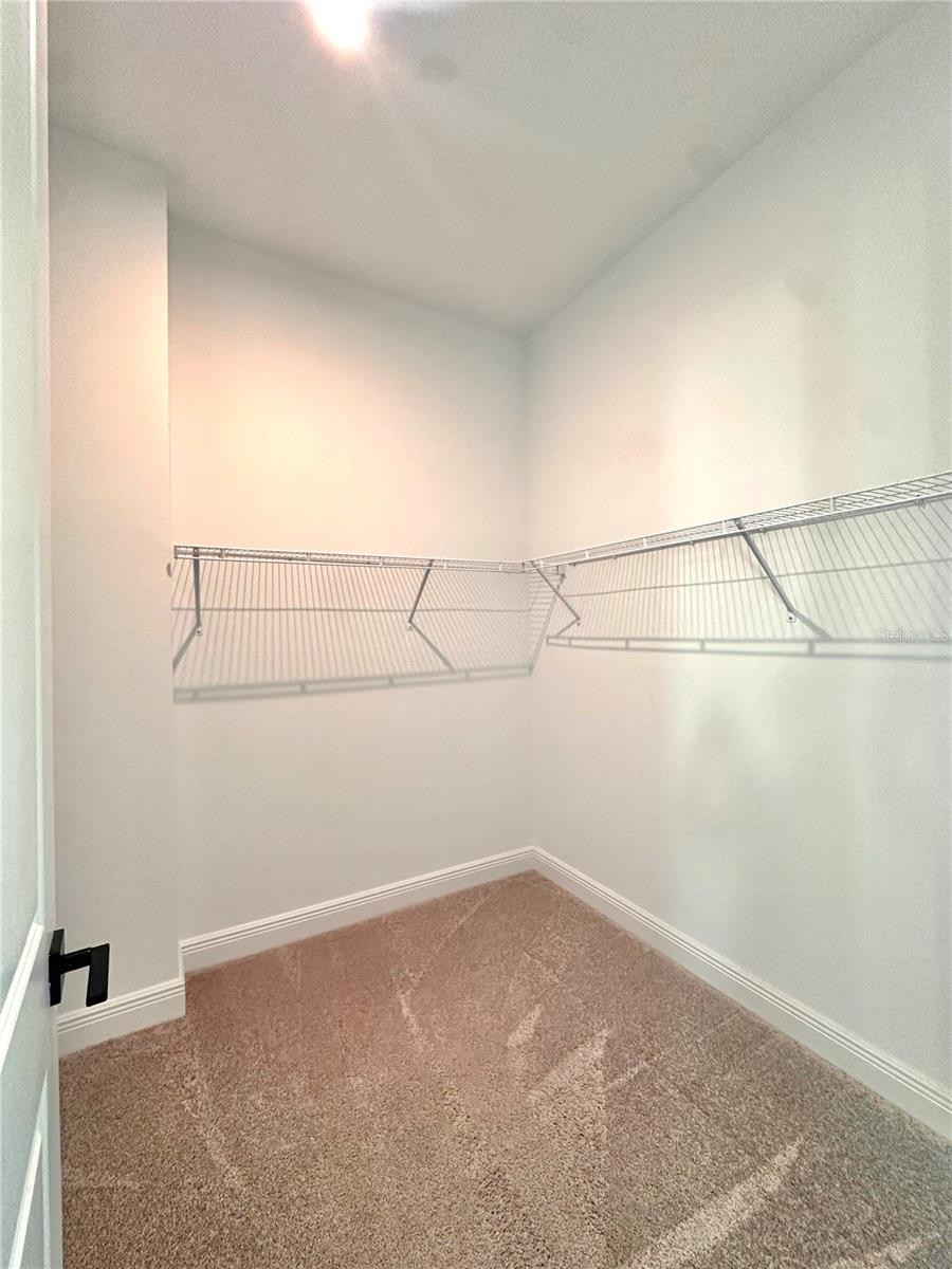 Image 19 of 71 For 6761 Bridgman Street