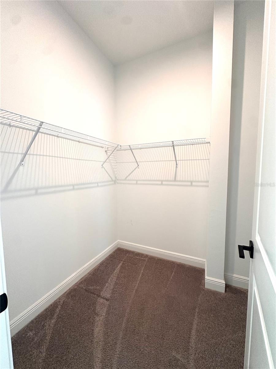 Image 46 of 71 For 6761 Bridgman Street