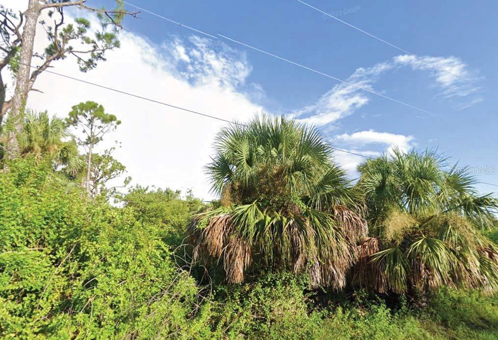 Listing Details for 23 Bamboo Drive, PORT CHARLOTTE, FL 33954