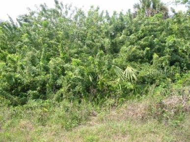 Listing Details for 735 Sendero Street, CLEWISTON, FL 33440
