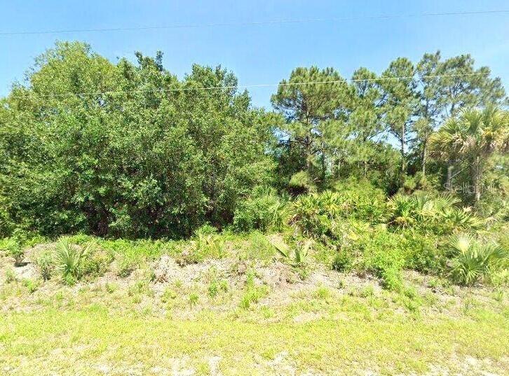 Listing Details for 445 Palomino Street, CLEWISTON, FL 33440
