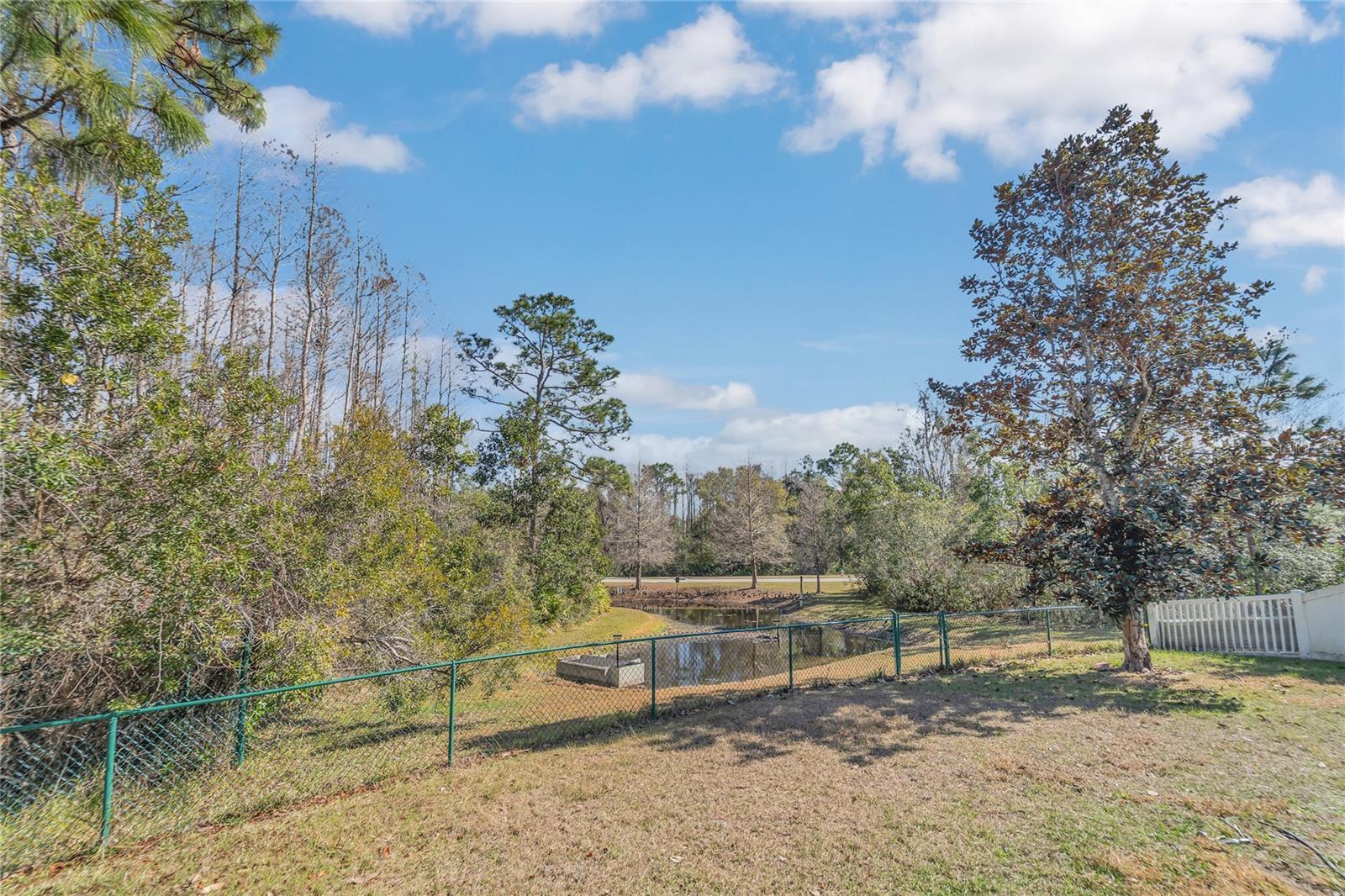 Image 26 of 41 For 15727 Cedar Elm Terrace