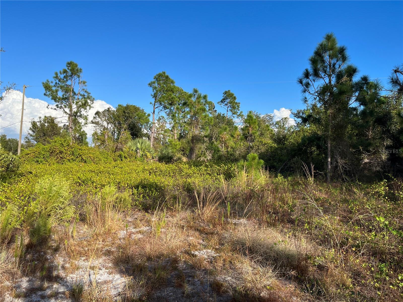 Listing Details for 2250 Sulstone Drive, PUNTA GORDA, FL 33983