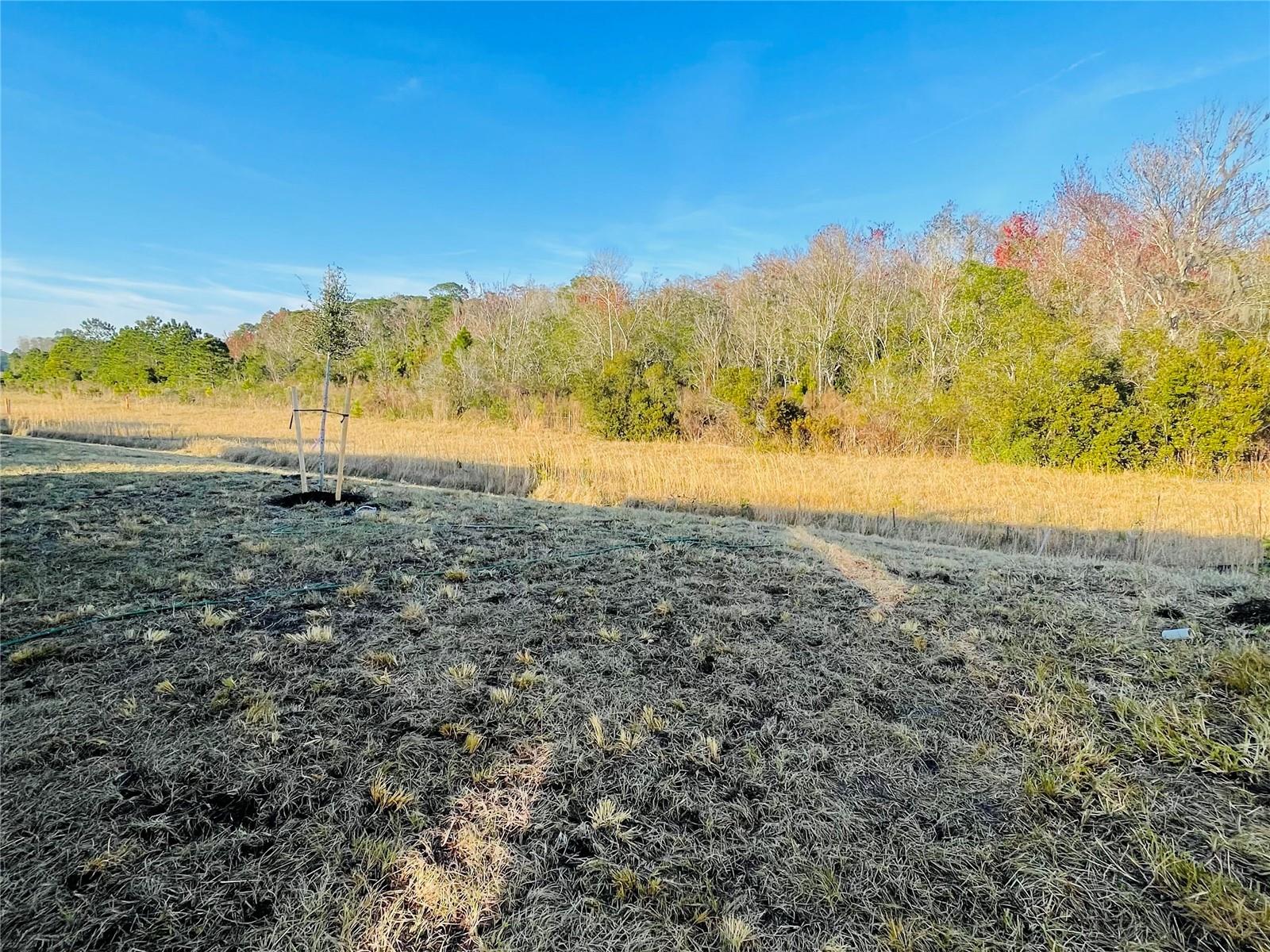 Listing photo id 12 for 4464 Sagefield Drive