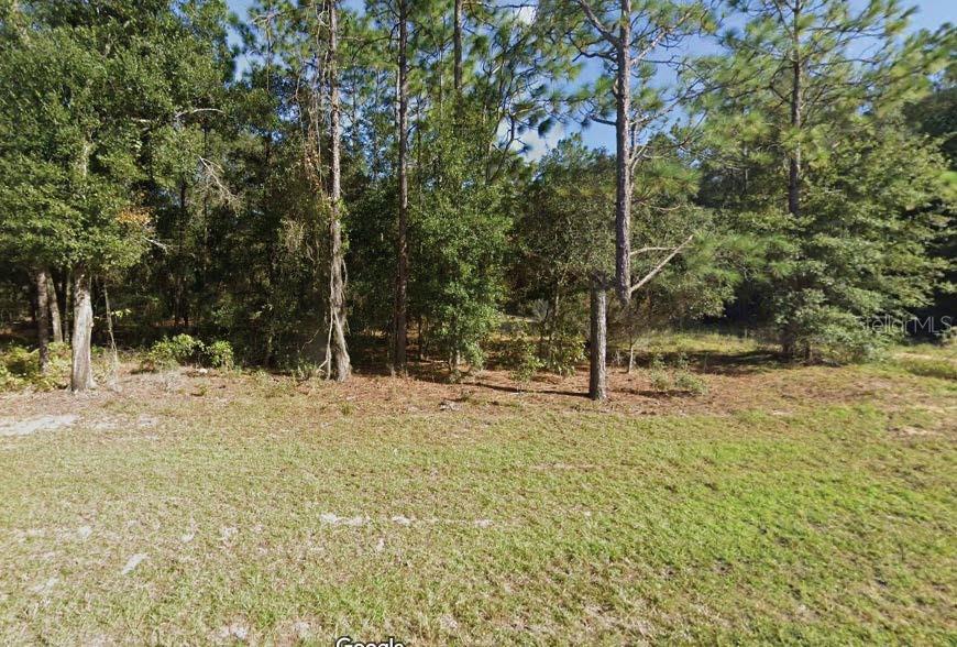 Listing Details for Missouri Avenue, HAWTHORNE, FL 32640