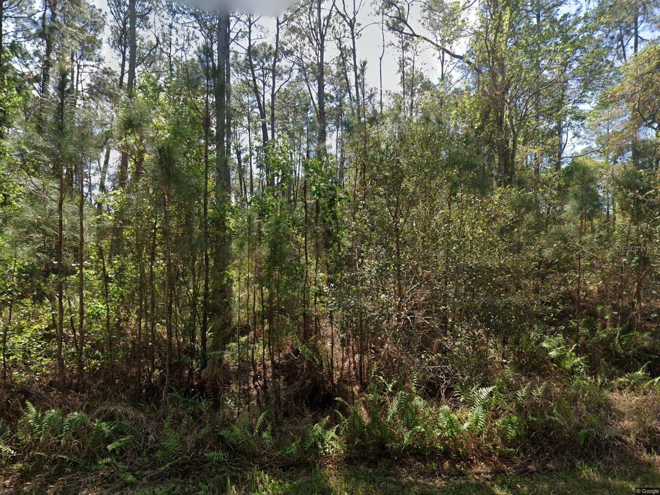 Listing Details for 412 Dogwood Avenue, GEORGETOWN, FL 32139