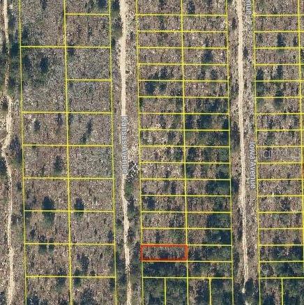 Listing Details for 104 Kansas Avenue, HAWTHORNE, FL 32640