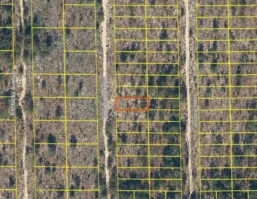 Listing Details for 116 Kansas Avenue, HAWTHORNE, FL 32640