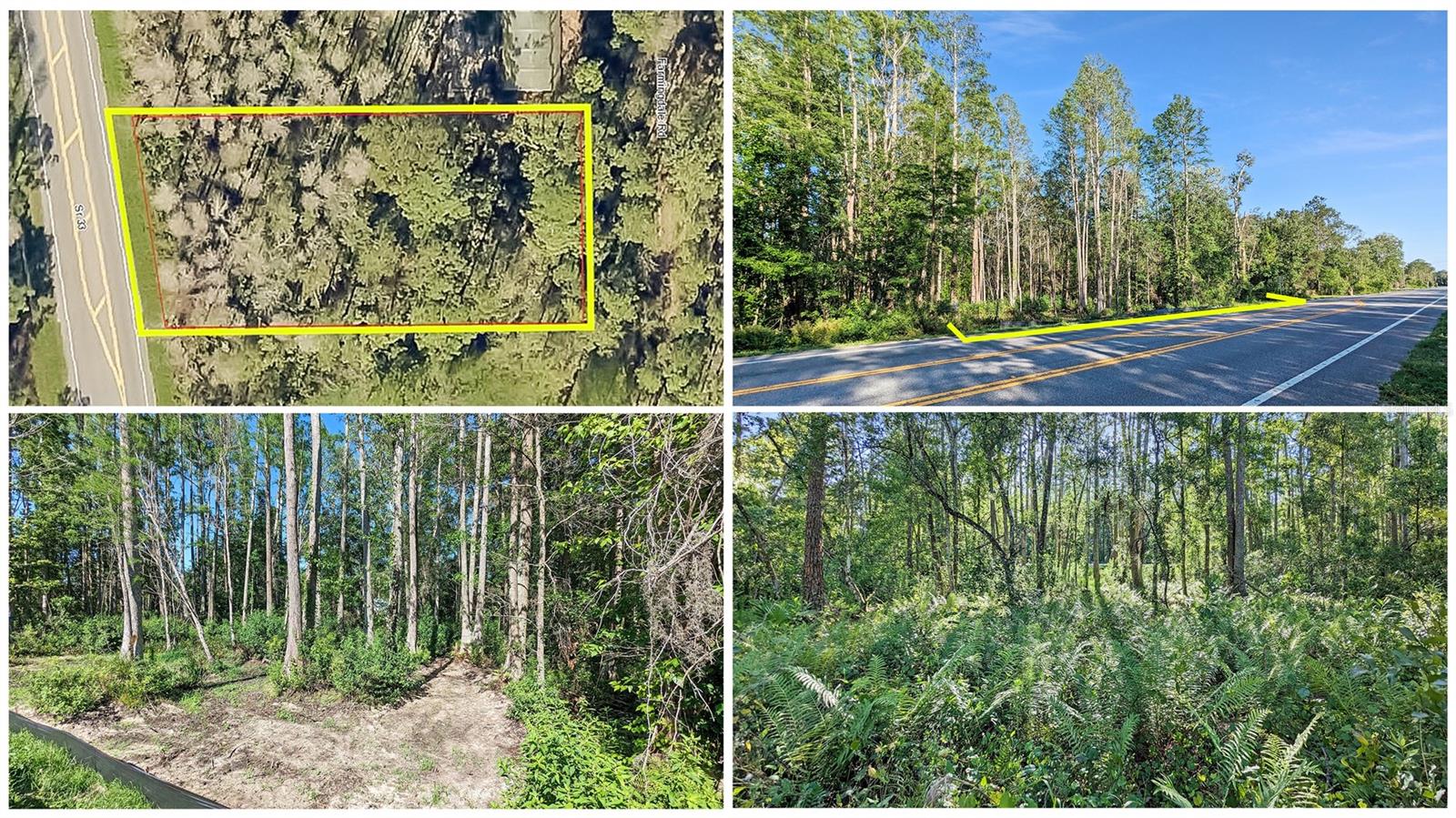 Details for Vacant Land Sr-33, CLERMONT, FL 34714