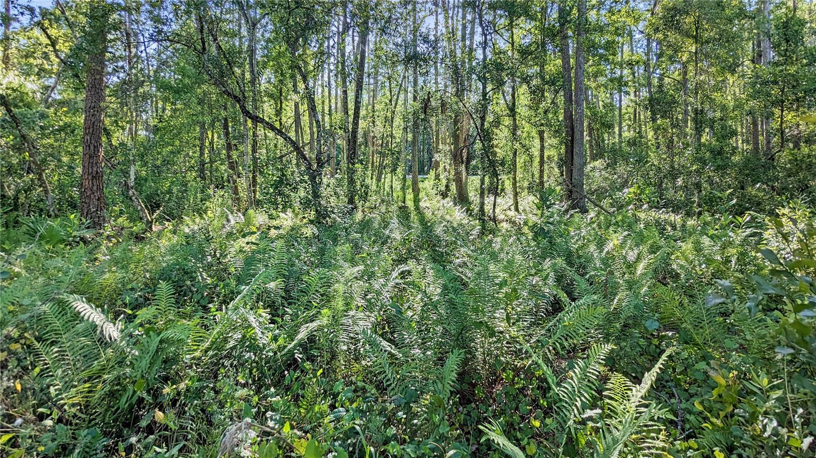 Image 10 of 15 For Vacant Land Sr-33