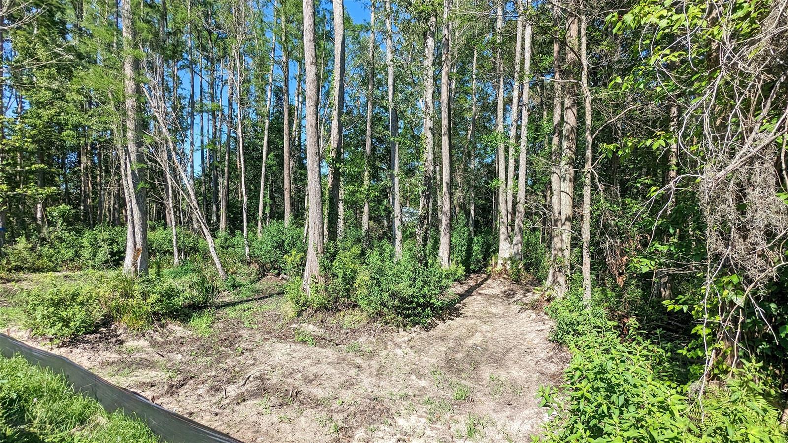Image 5 of 15 For Vacant Land Sr-33