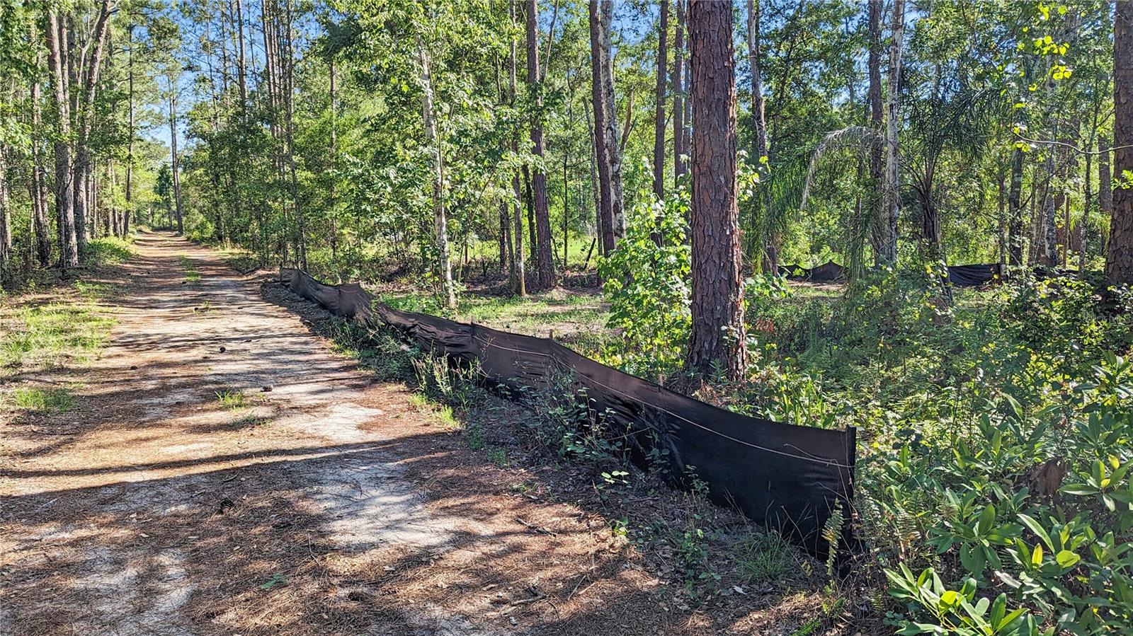 Image 6 of 15 For Vacant Land Sr-33