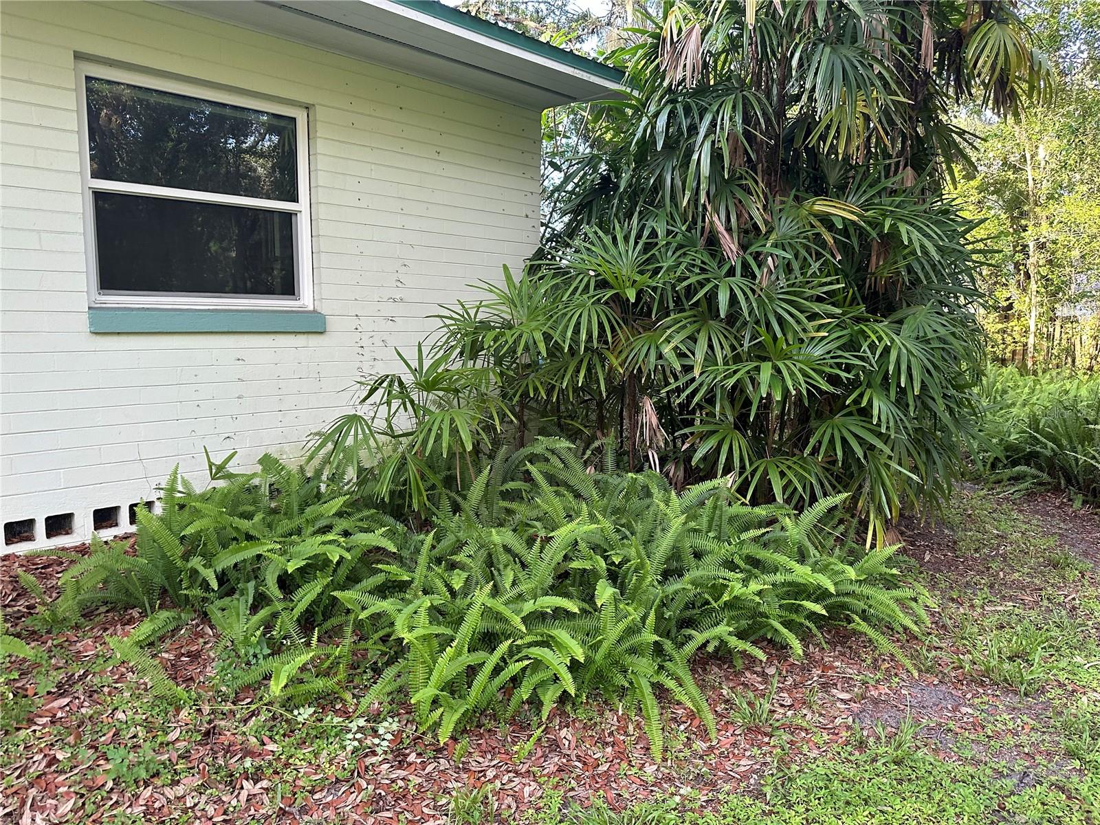 Image 43 of 50 For 22 Poinsettia Drive