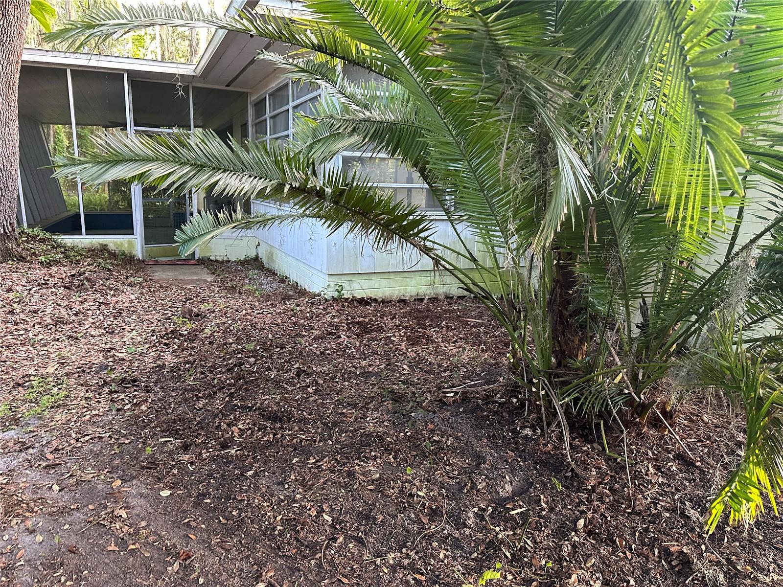 Image 45 of 50 For 22 Poinsettia Drive