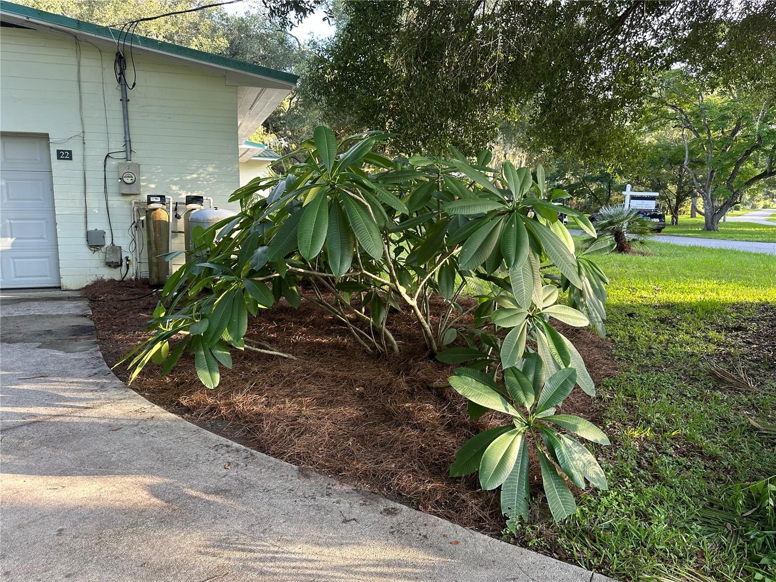 Image 47 of 50 For 22 Poinsettia Drive