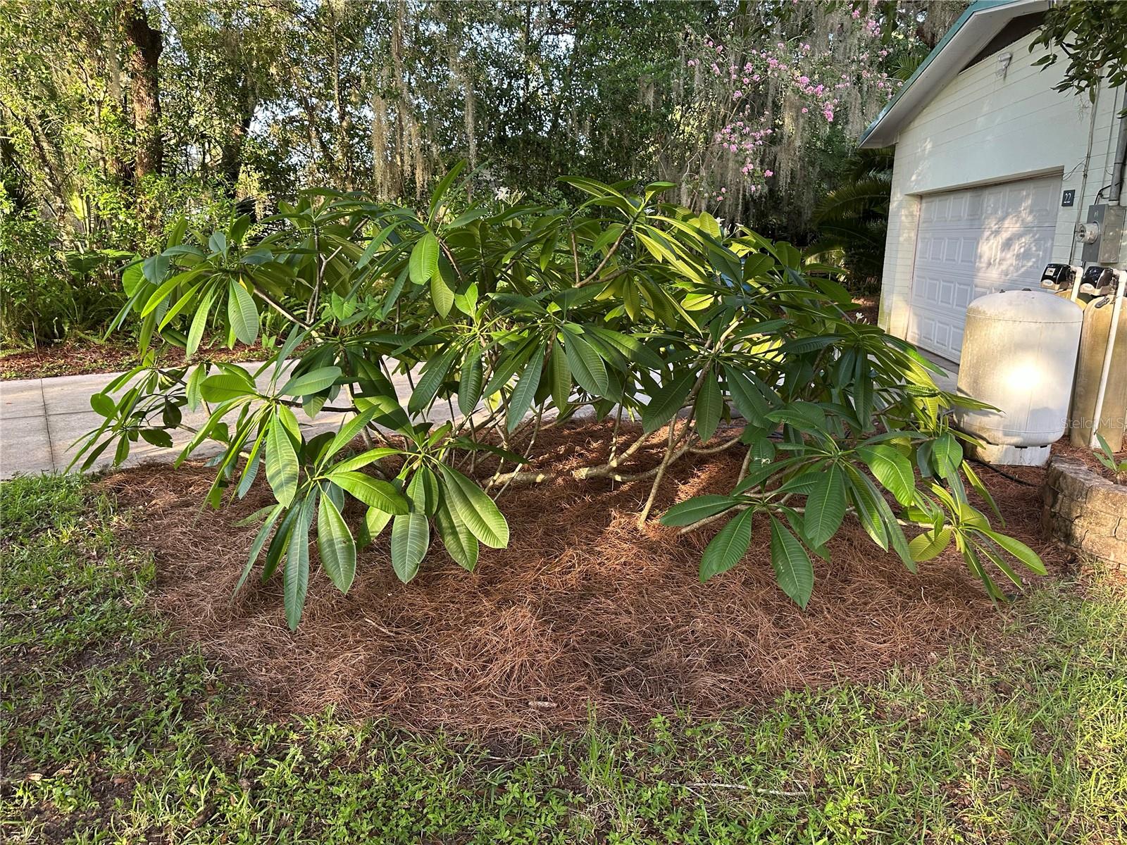 Image 48 of 50 For 22 Poinsettia Drive