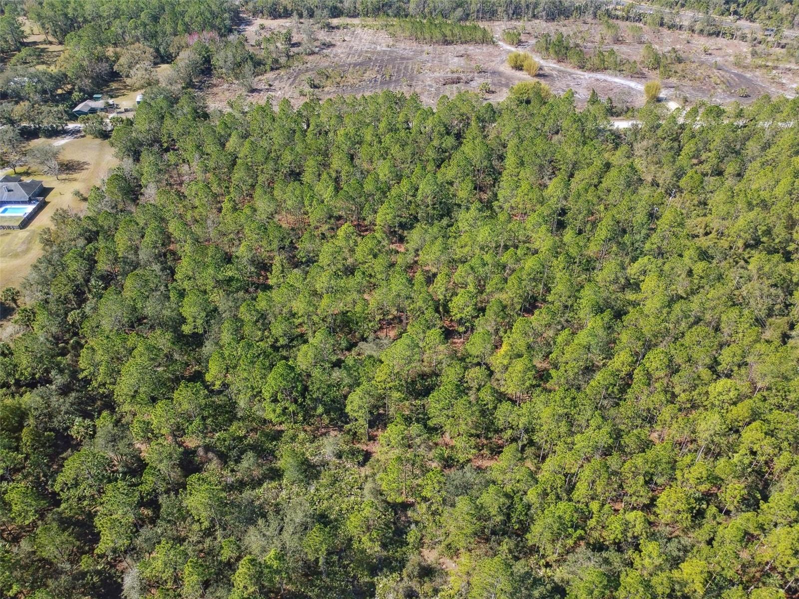 Image 12 of 31 For 000 Old Haw Creek Road