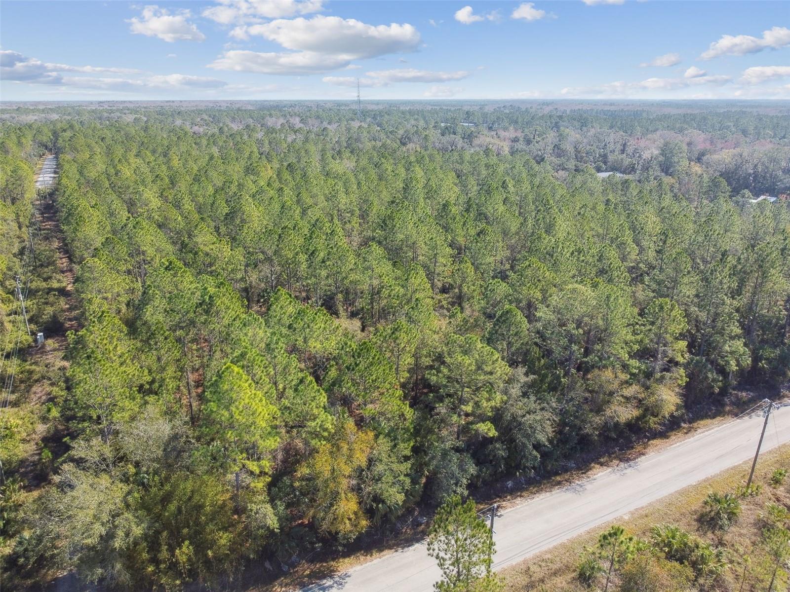 Image 14 of 31 For 000 Old Haw Creek Road