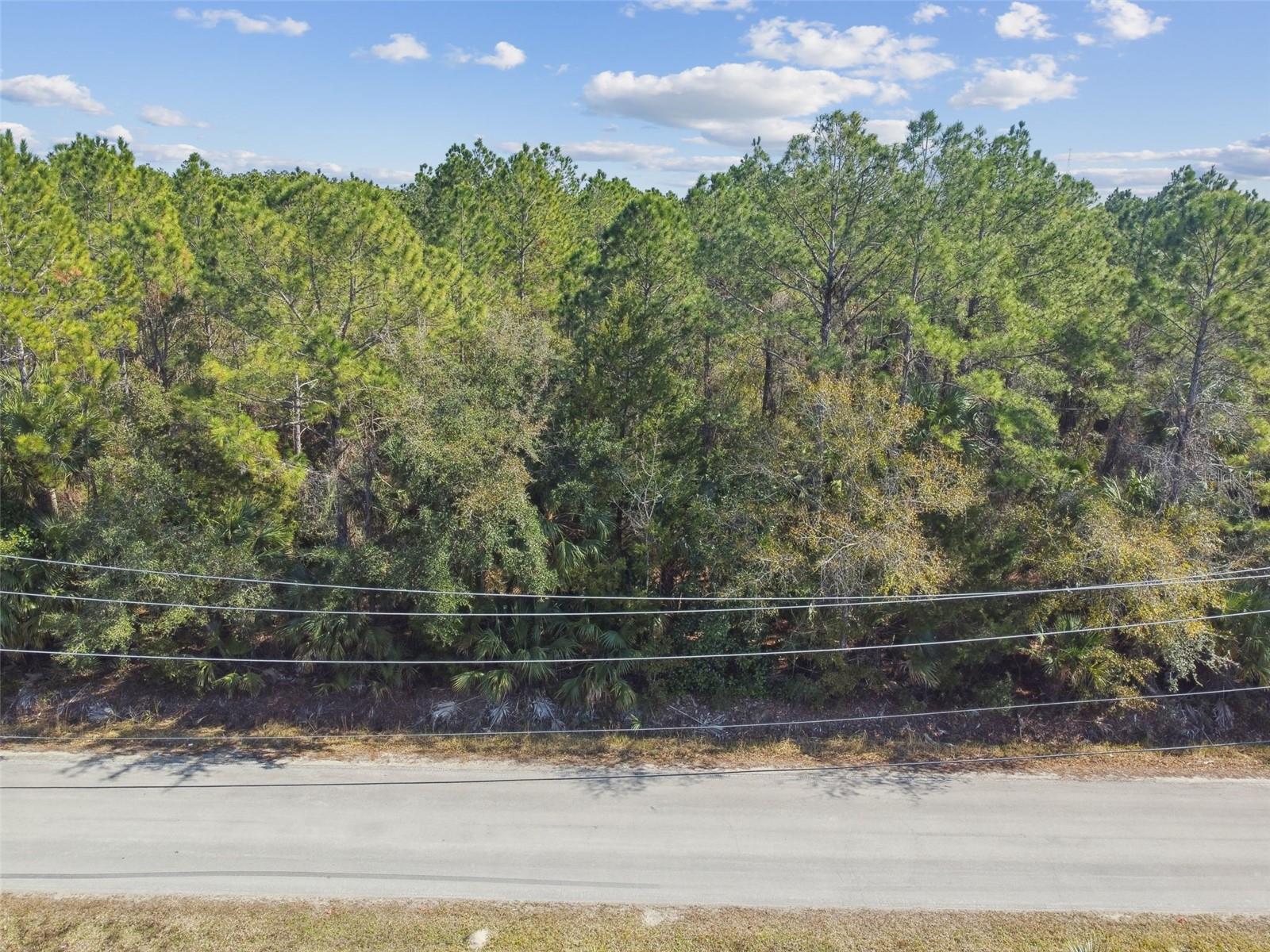 Image 17 of 31 For 000 Old Haw Creek Road