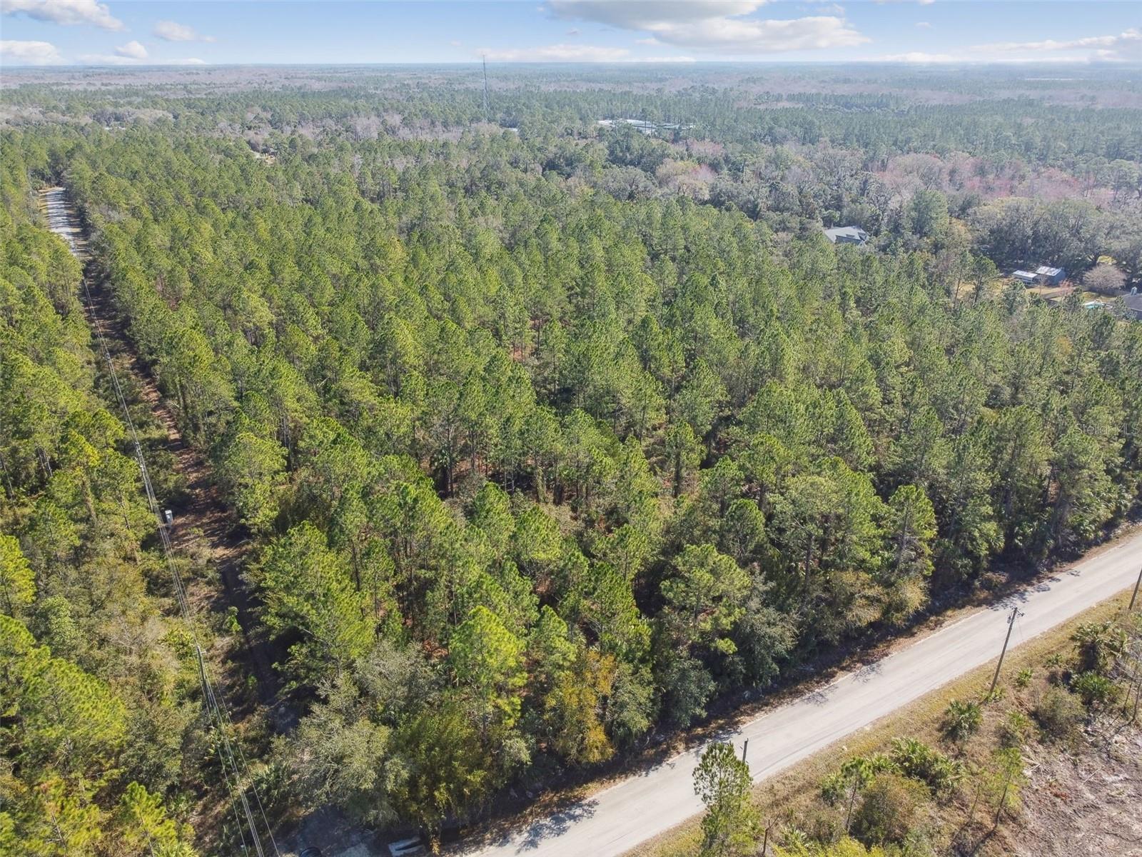 Image 6 of 31 For 000 Old Haw Creek Road