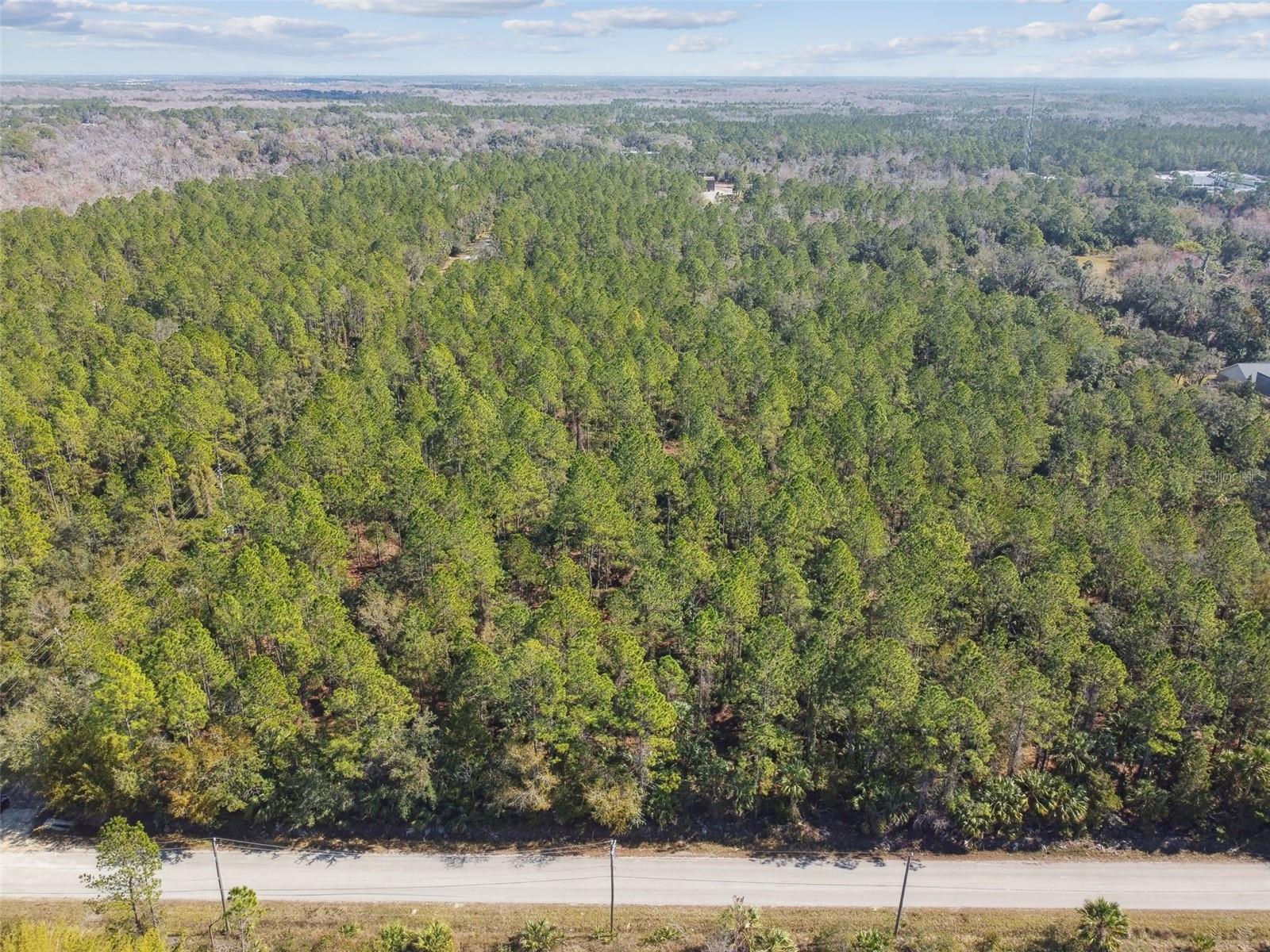 Image 7 of 31 For 000 Old Haw Creek Road