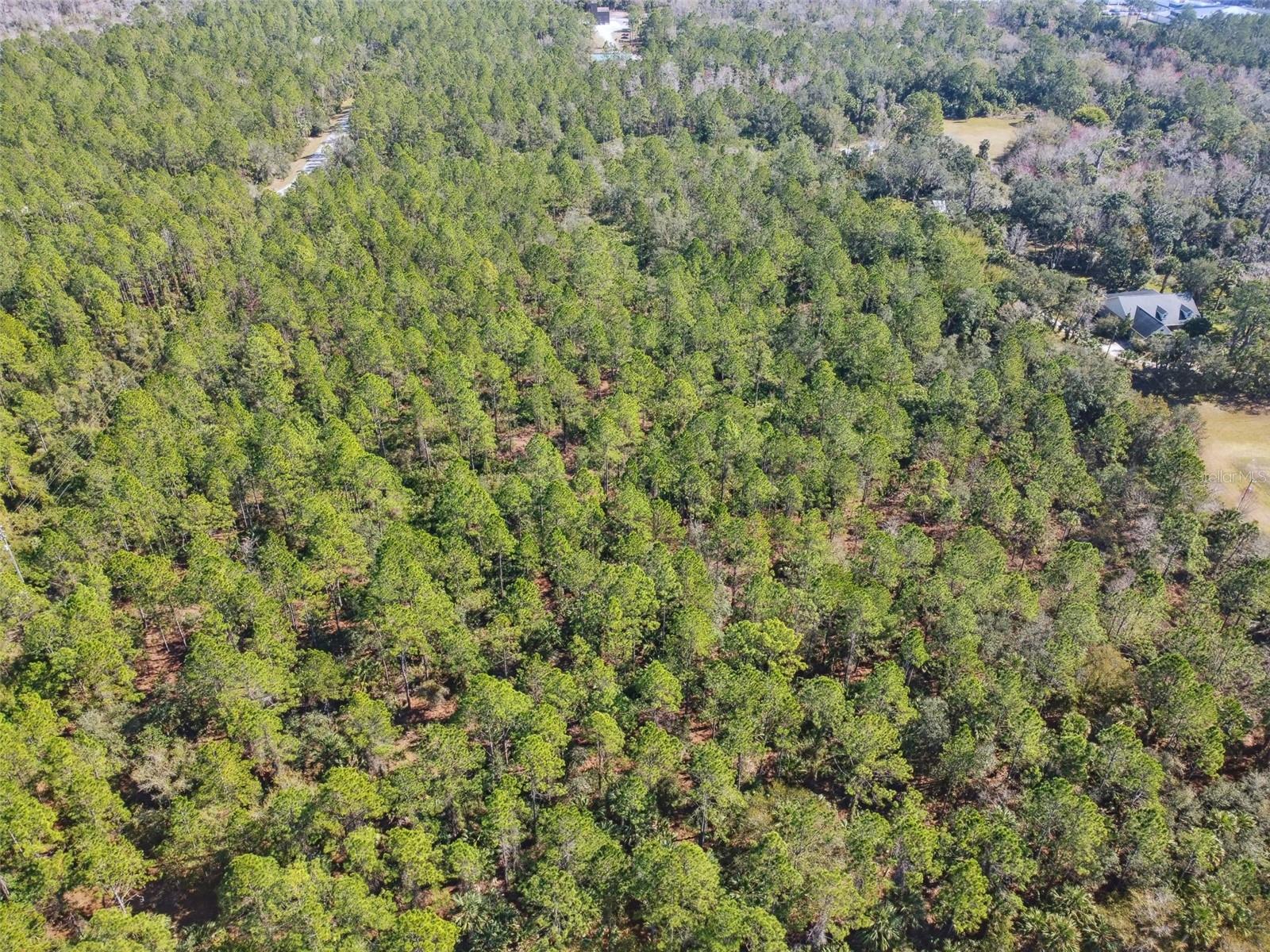 Image 9 of 31 For 000 Old Haw Creek Road