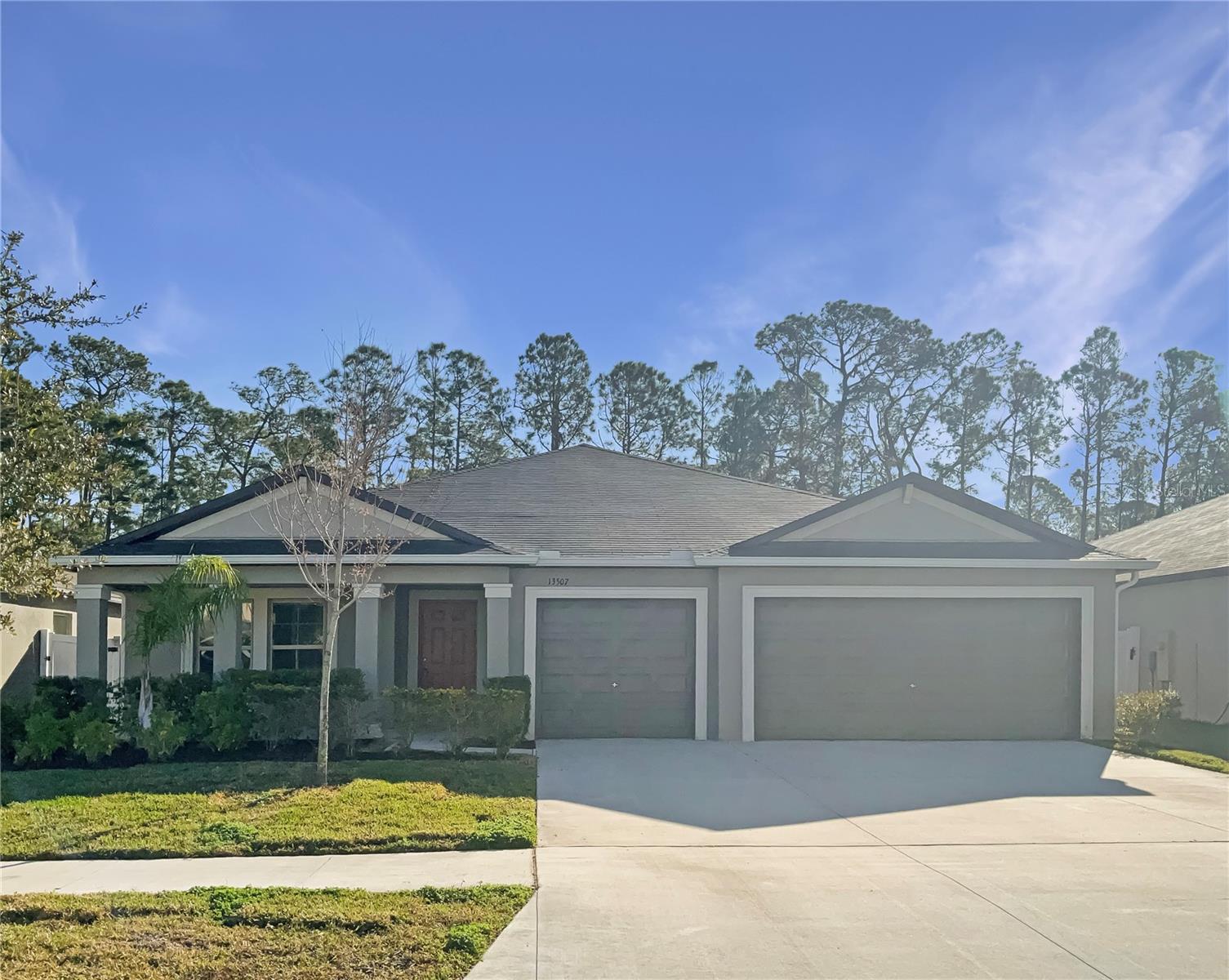Details for 13507 Willow Bluestar Loop, RIVERVIEW, FL 33579