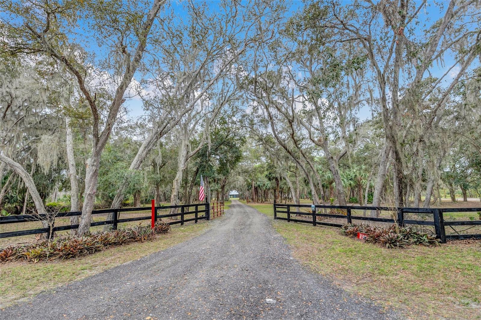 Image 7 of 99 For 255 Butterfly Forest Road