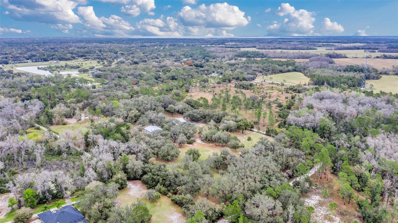 Image 95 of 99 For 255 Butterfly Forest Road