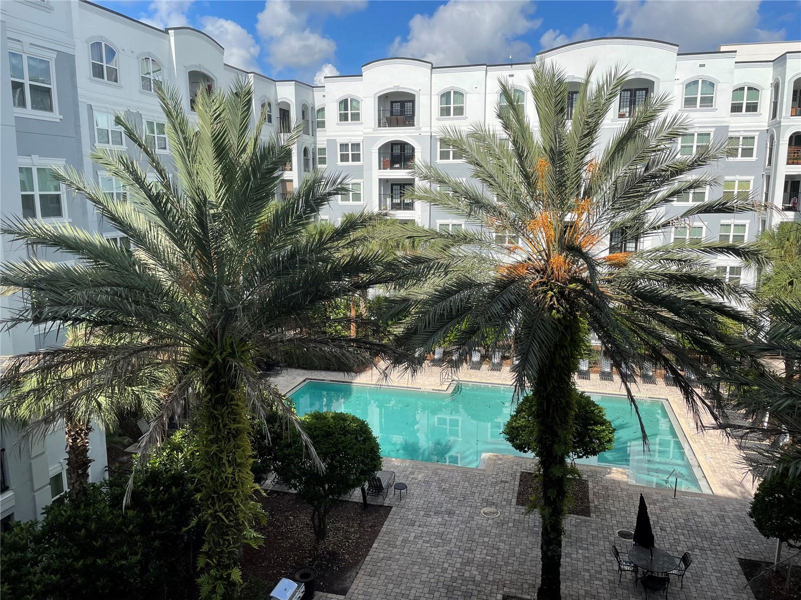 Details for 202 South Street 3050, ORLANDO, FL 32801