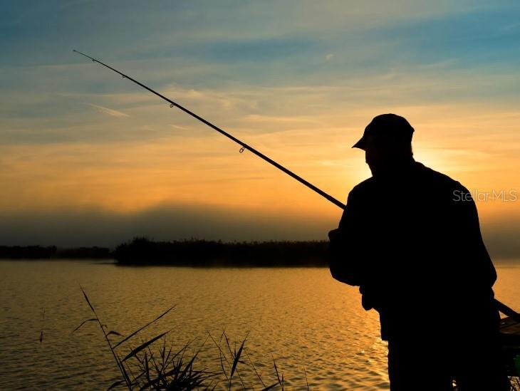 Image 34 of 40 For 5563 Maddie Drive