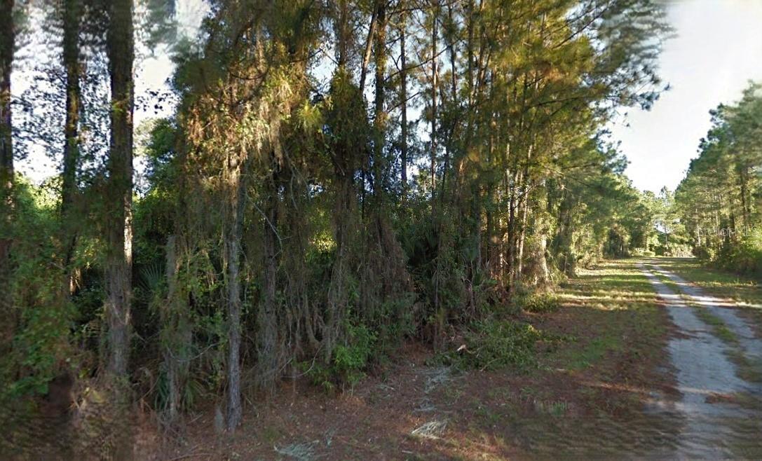 Image 2 of 4 For  Lutz Road 