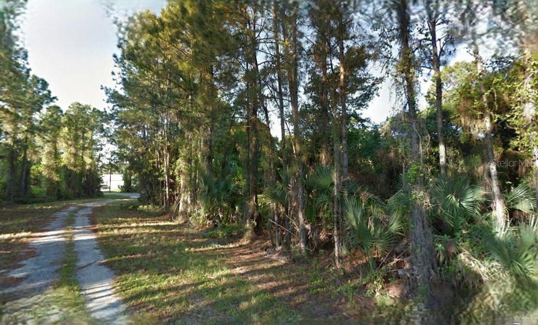 Image 3 of 4 For  Lutz Road 