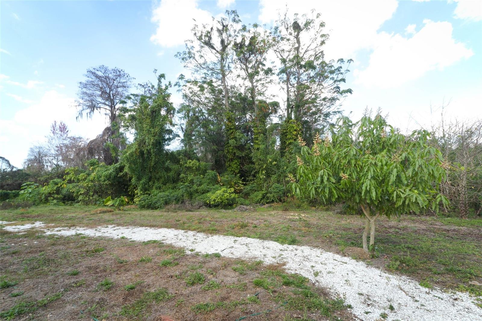 Image 50 of 76 For 5136 Stratemeyer Drive