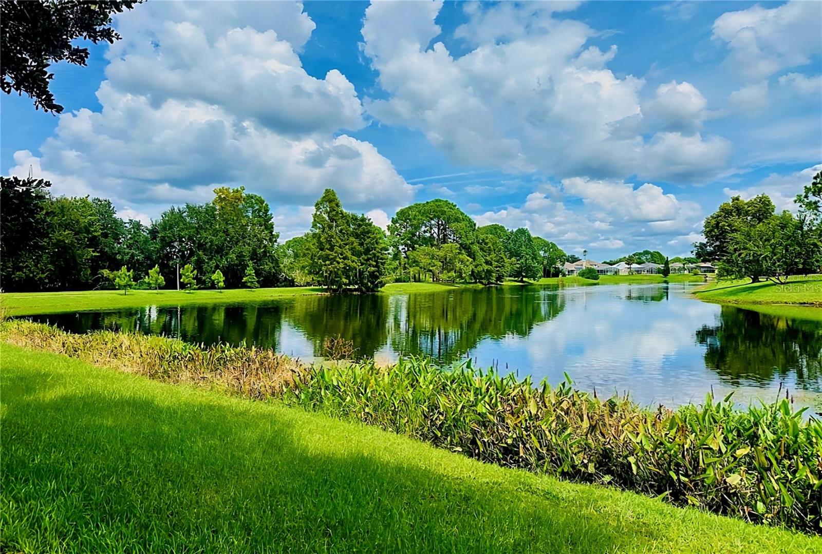 Image 50 of 53 For 12204 Wild Iris Way 109