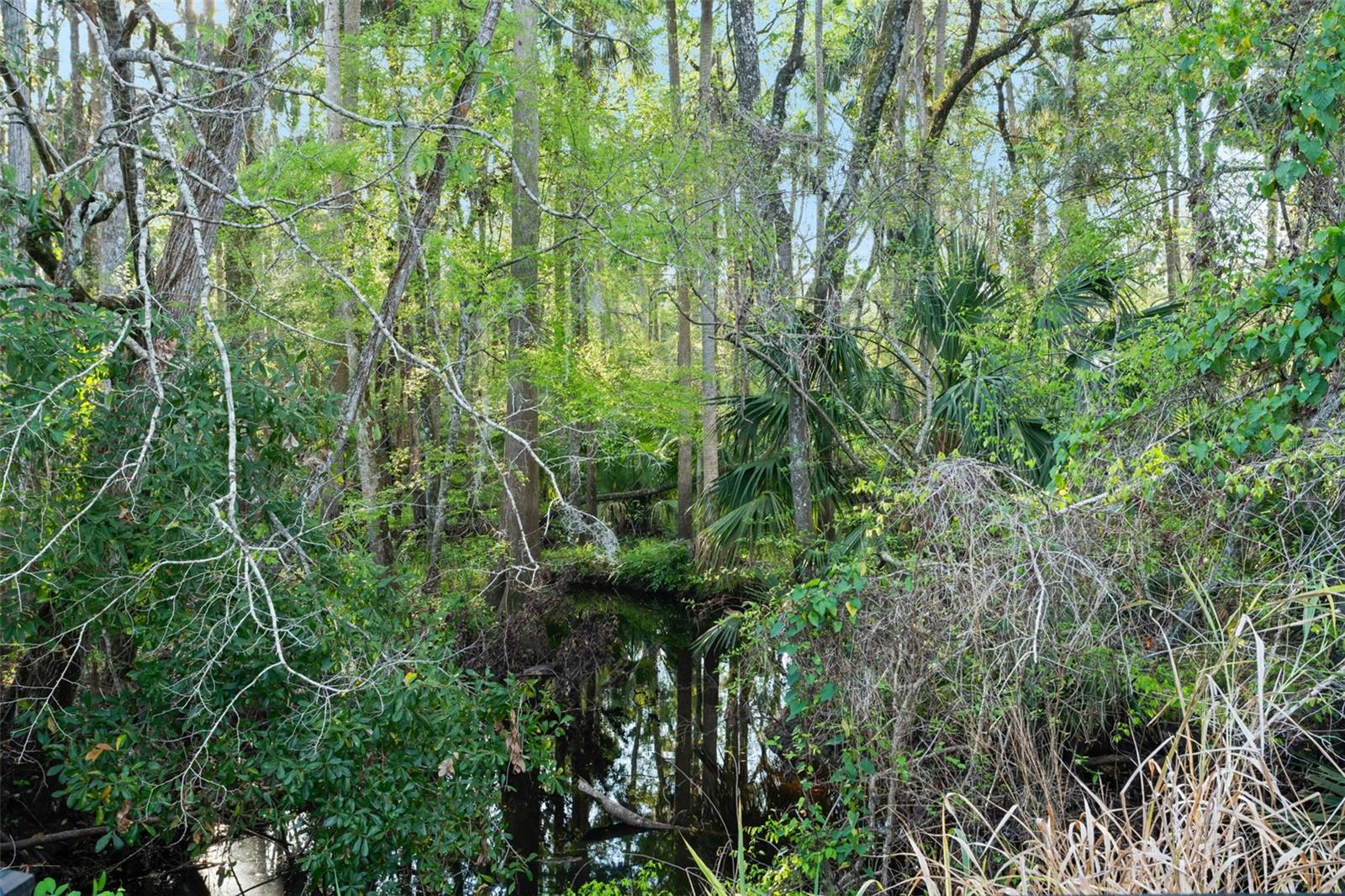 Image 38 of 41 For 331 Groover Creek Crossing