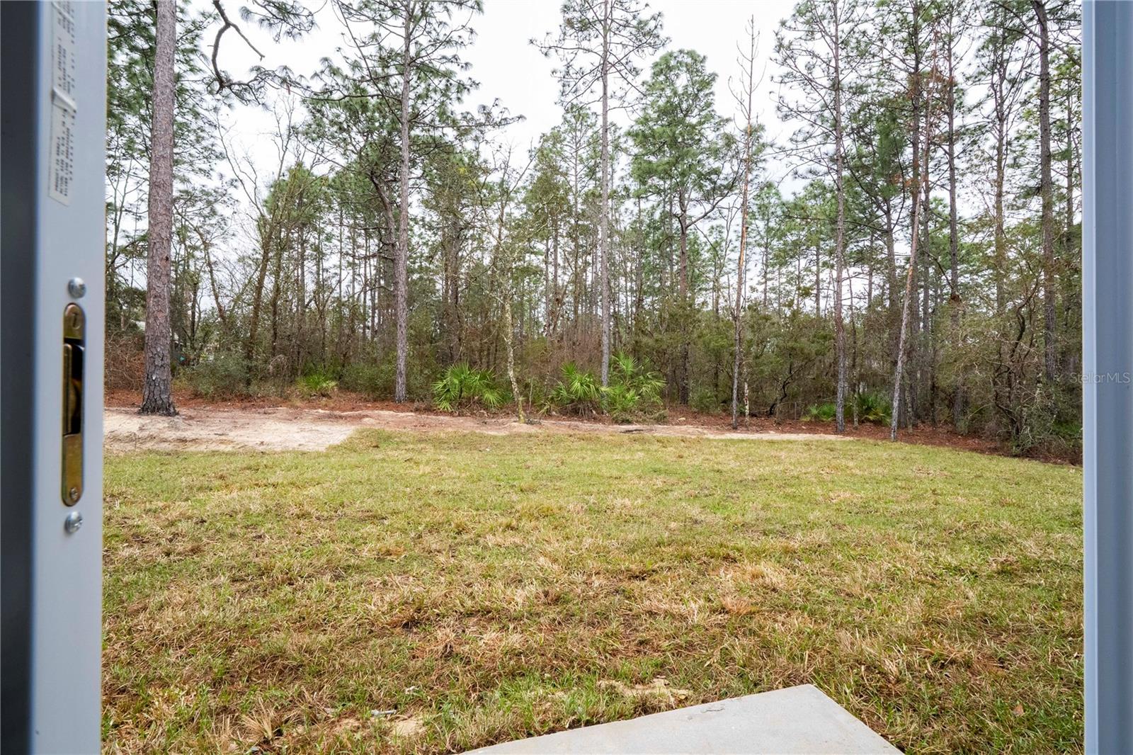 Listing photo id 32 for 3812 Eunice Drive