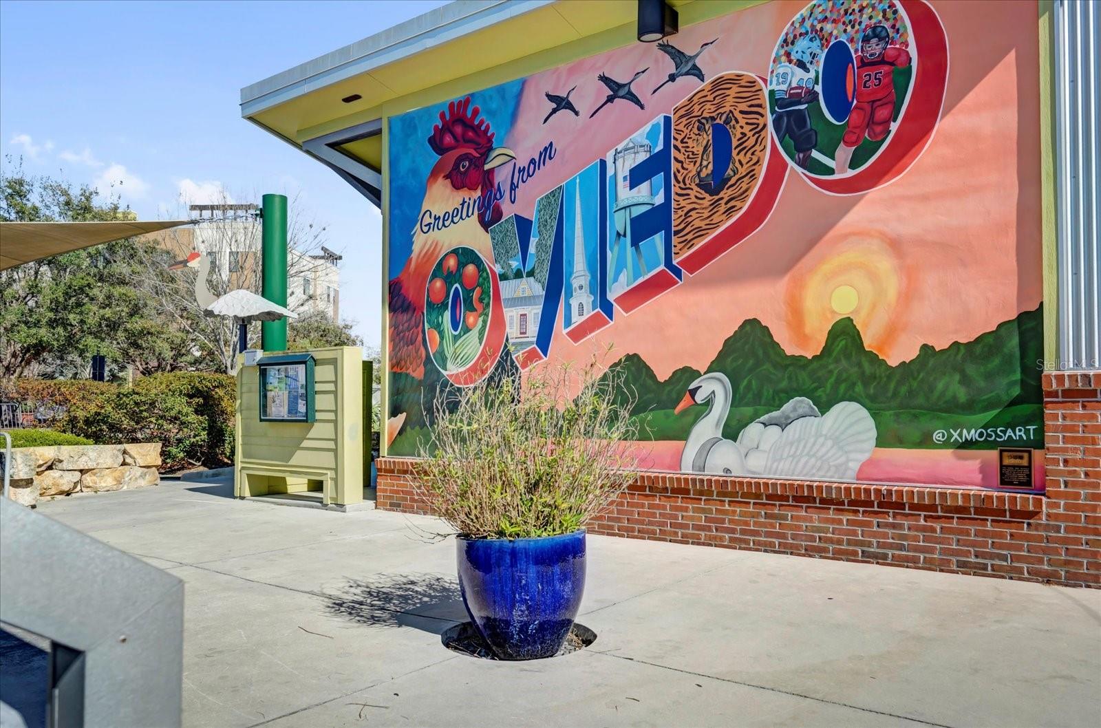 Image 14 of 35 For 905 City Walk Lane