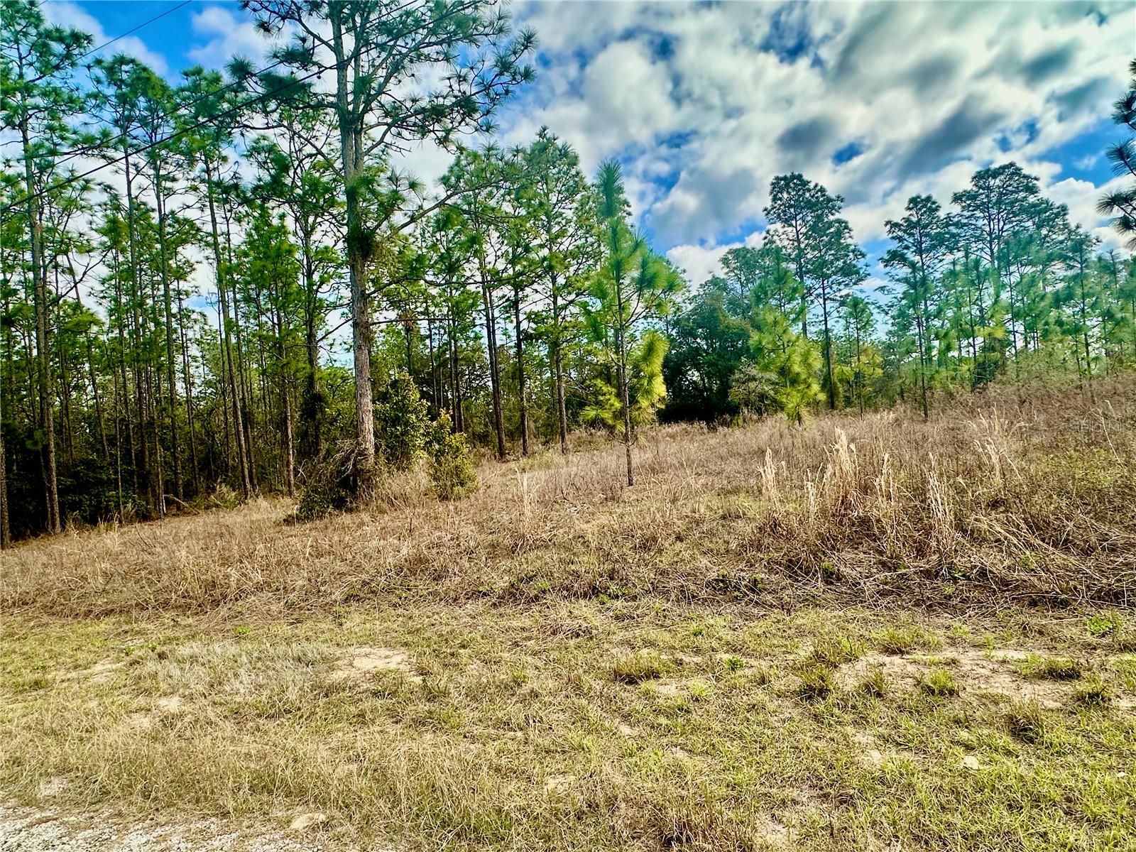 Details for Lot 41 Se 131 Terrace, DUNNELLON, FL 34431