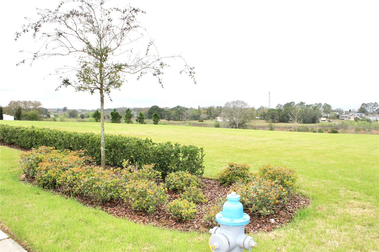 Image 79 of 79 For 2294 Sunset Way