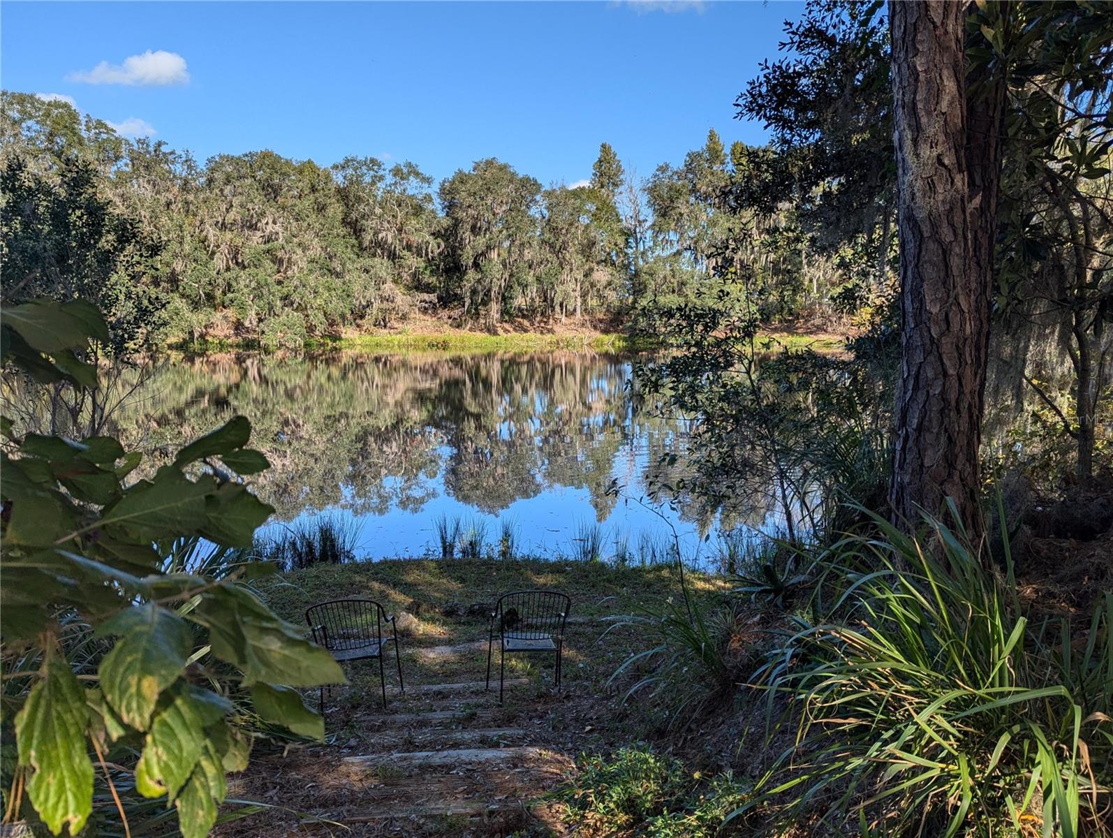 Details for 16515 County Road 1491, ALACHUA, FL 32615