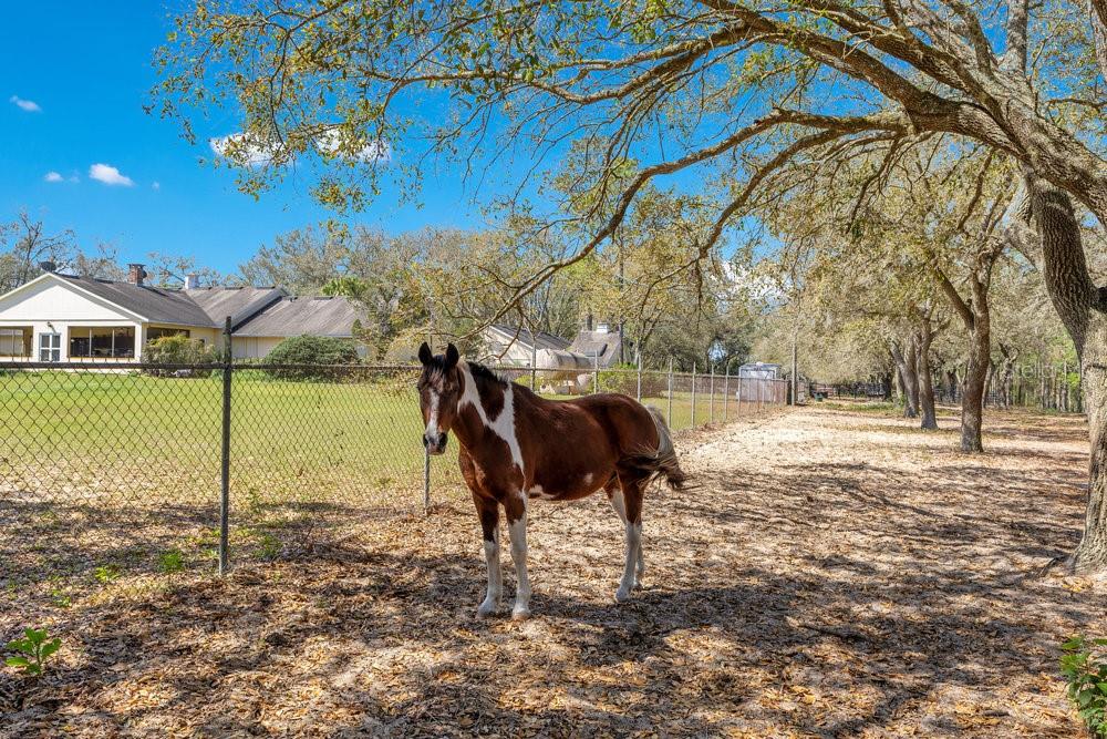 Image 18 of 18 For 4649 Meadowland Drive