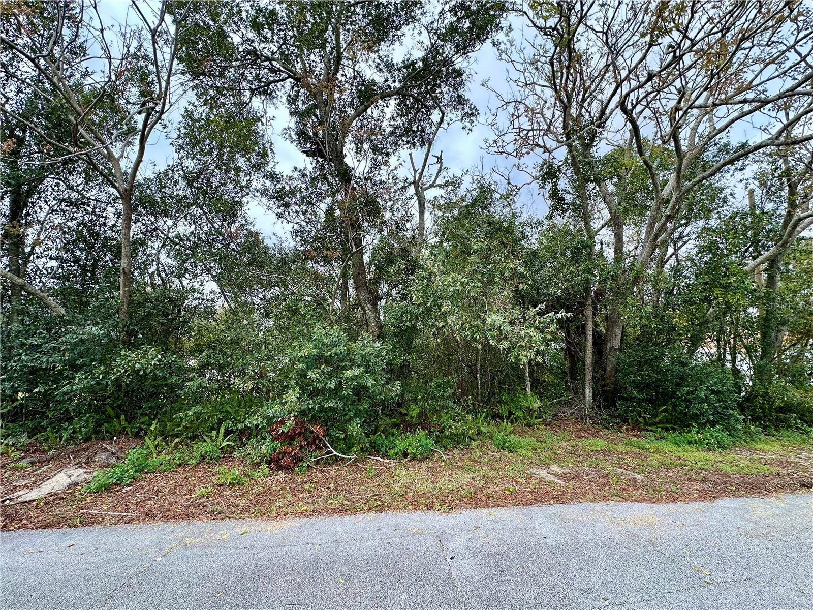 Details for 761 Arlene Drive, DELTONA, FL 32725